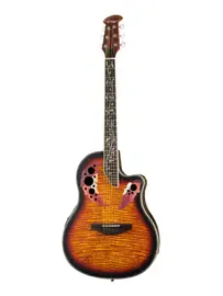 LA-300 Акустическая гитара, Homage