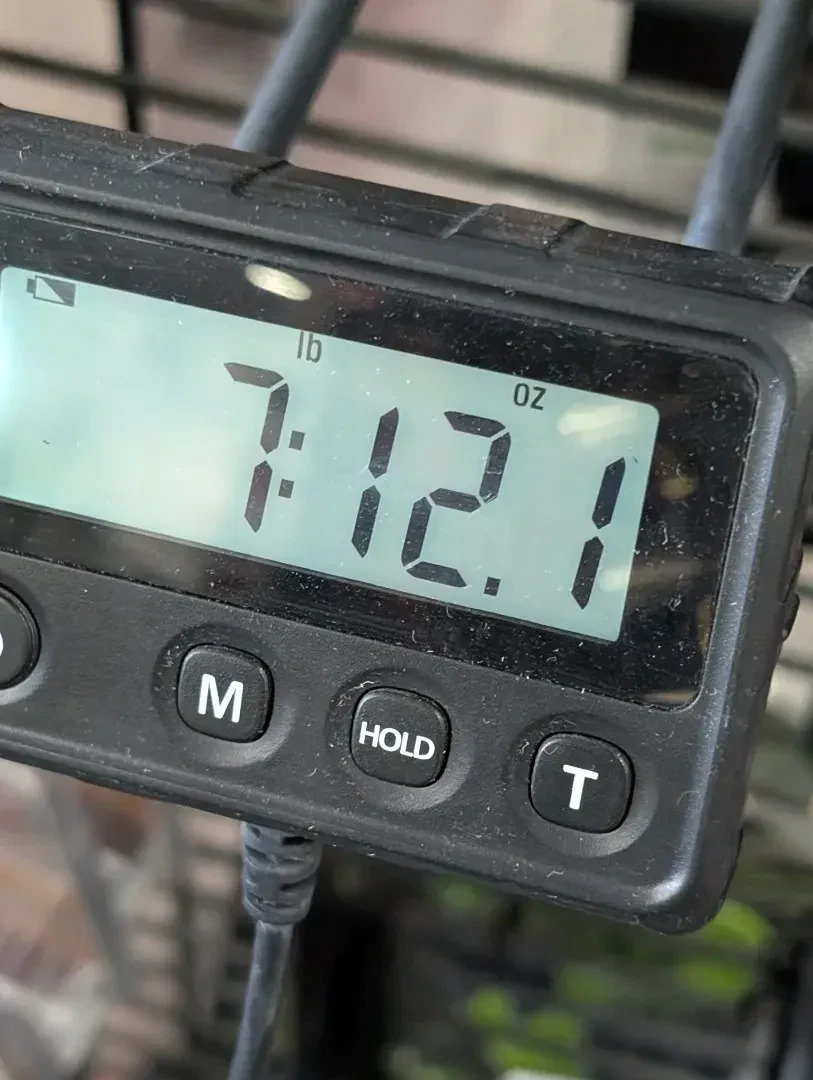 Изображение №10