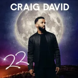 Виниловая пластинка Craig David - 22 [New Vinyl LP]