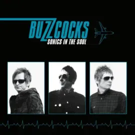 Виниловая пластинка Buzzcocks – Sonics In The Soul