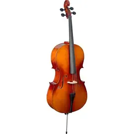 Виолончель Stagg Laminated Maple Cello with Bag 4/4