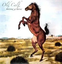Виниловая пластинка Old Calf – Borrow a Horse (Релиз 2011)