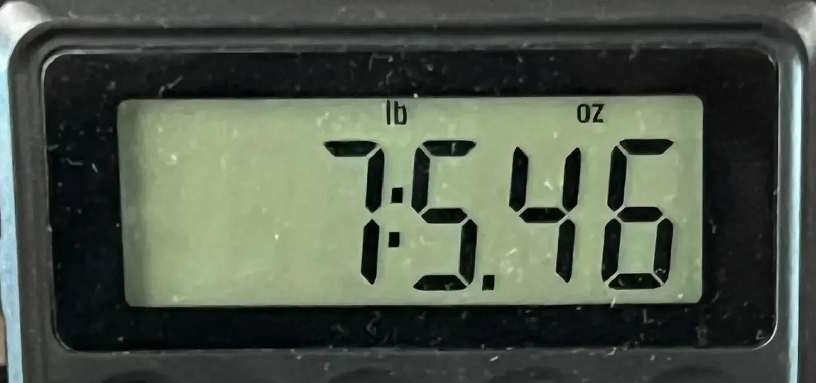 Изображение №2