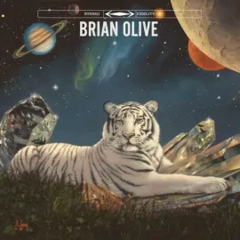 Виниловая пластинка Brian Olive – Living On Top Sealed