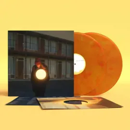 Виниловая пластинка Flock of Dimes – The Life You Save 2025