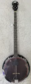 Dean Backwoods Model BW2E 5 string Electric Banjo with Mahogany Resonator