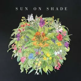 Виниловая пластинка Sun On Shade – Sun On Shade Sealed