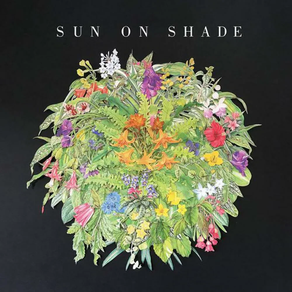 Виниловая пластинка Sun On Shade – Sun On Shade Sealed