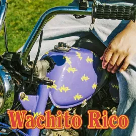 Виниловая пластинка Boy Pablo - Wachito Rico [New Vinyl LP]