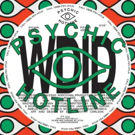 Виниловая пластинка Sylvan Esso – WDID b/w KEEP ON Релиз 2026