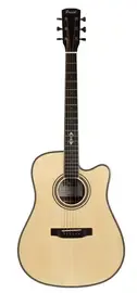 Акустическая гитара PRIMA MAG205C