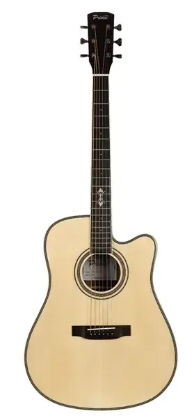 Акустическая гитара PRIMA MAG205C