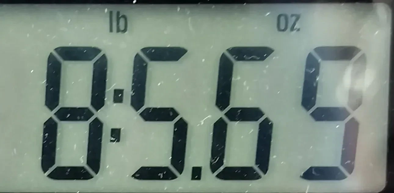 Изображение №12