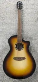 Электроакустическая гитара Breedlove ECO Discovery S CE Edgeburst