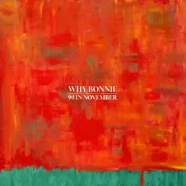 Виниловая пластинка Why Bonnie - 90 In November [New Vinyl LP]