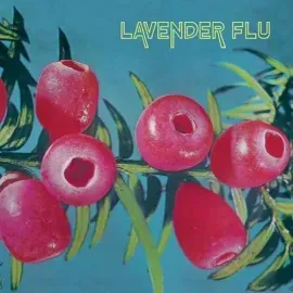 Виниловая пластинка Lavender Flu - Mow The Glass [New Vinyl LP]