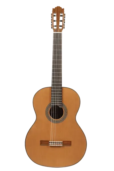 Классическая гитара Martinez ES-06C Tossa Classic Natural