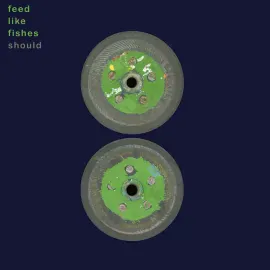Should - Feed Like Fishes NEW Vinyl