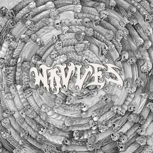 Виниловая пластинка Wavves – Spun (Релиз 2025)