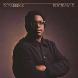 Виниловая пластинка DJ Harrison – ElectroSoul Релиз 2026