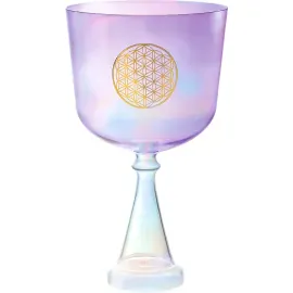Поющая чаша MEINL Sonic Energy Crystal Singing Chalice 8"