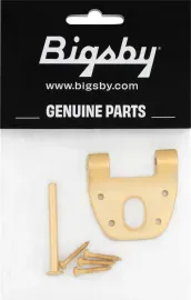 Bigsby Extra Short Hinge, w/ Hinge Pin and Screws, Gold, 180-0042-006