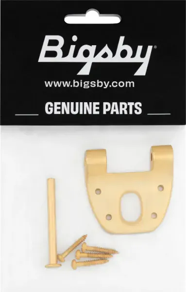 Bigsby Extra Short Hinge, w/ Hinge Pin and Screws, Gold, 180-0042-006