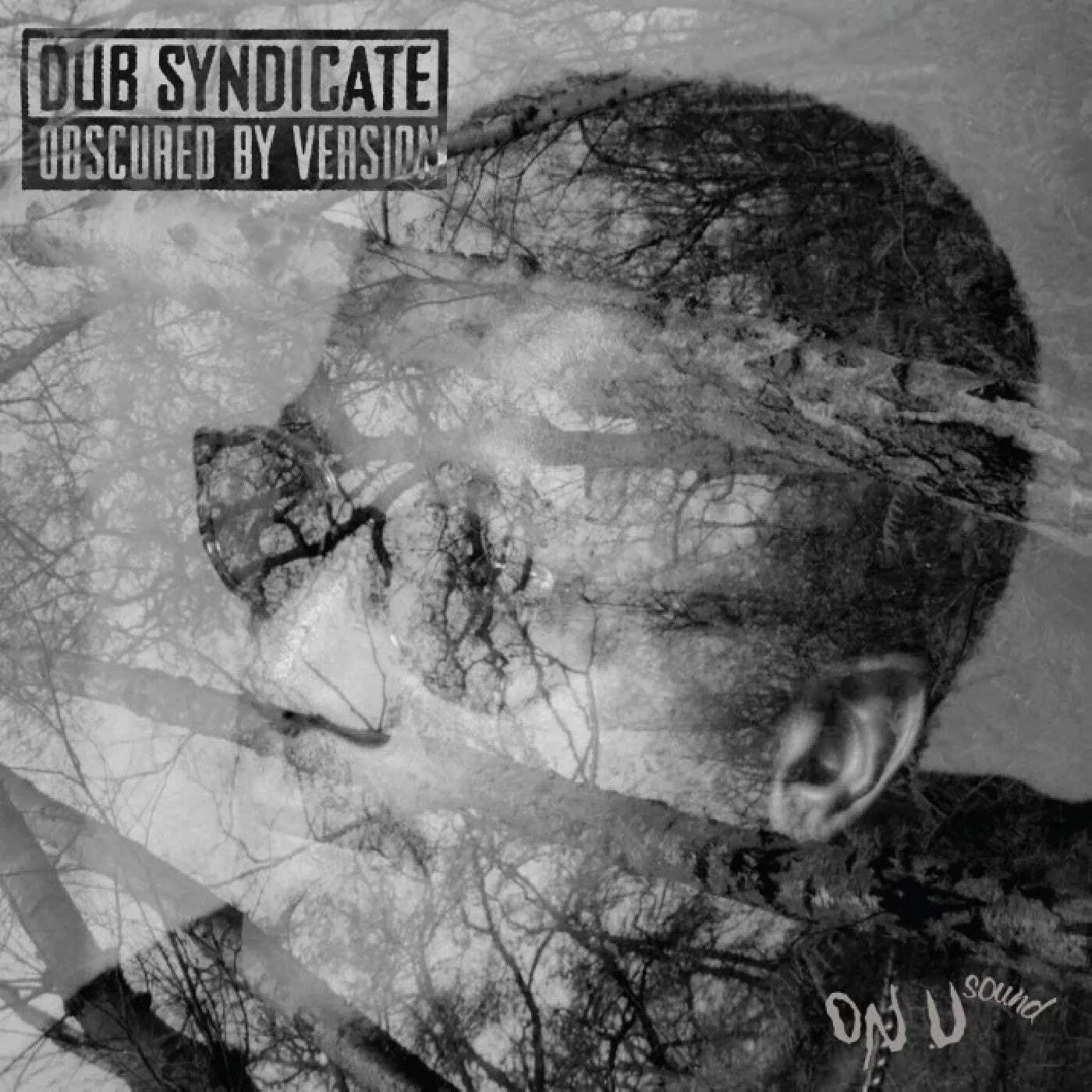 Виниловая пластинка Dub Syndicate – Obscured By Version (Релиз 2025)