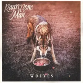 Виниловая пластинка RAG'N'BONE MAN – Wolves