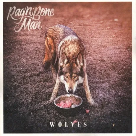 Виниловая пластинка RAG'N'BONE MAN – Wolves
