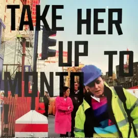 Виниловая пластинка Roisin Murphy – Take Her Up To Monto! 2LP