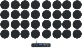 Rockville Rock Zone 8 Ch. Multi Room Receiver+(32) 5.25" Black Ceiling Speakers