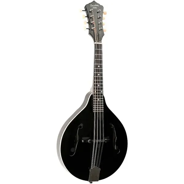 Мандолина Recording King RAM-3 Dirty 30s A-Style Gloss Black