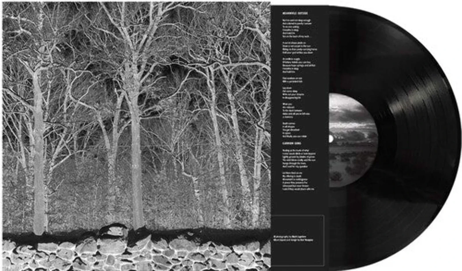 Виниловая пластинка Pile – Sunshine and Balance Beams Релиз 2025