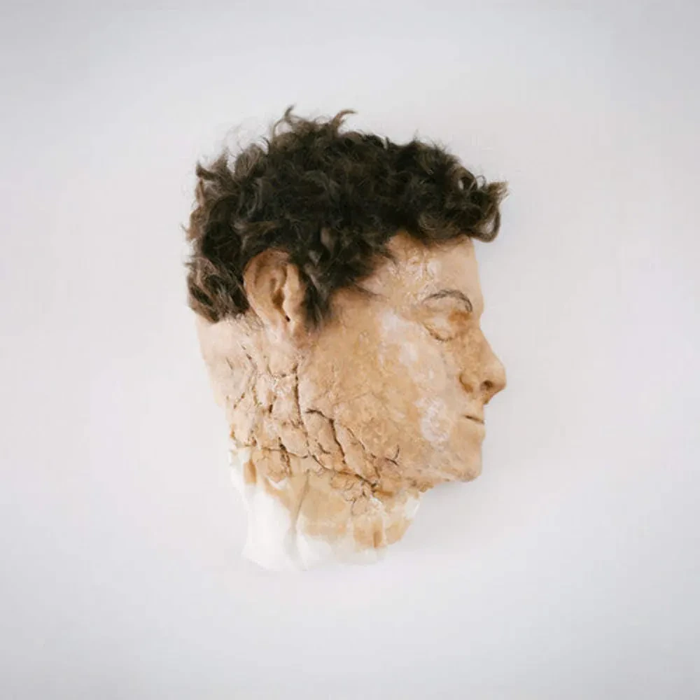 Виниловая пластинка Emile Mosseri – Tryin to Be Born 2025