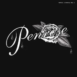 Виниловая пластинка Various – Penrose Showcase Vol II 2024