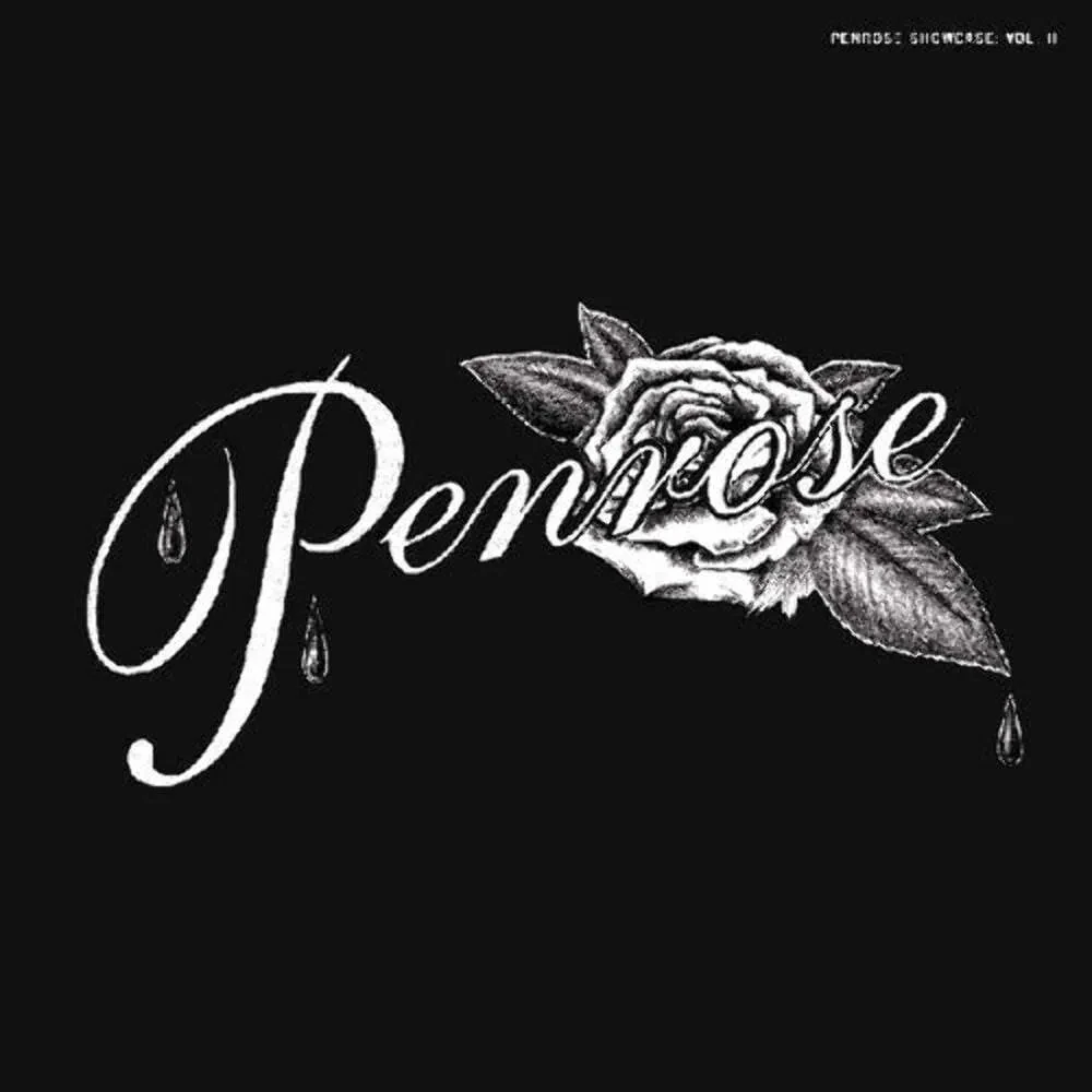 Виниловая пластинка Various – Penrose Showcase Vol II 2024