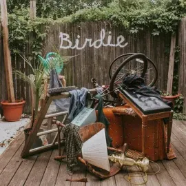 Виниловая пластинка Slaughter Beach Dog - Birdie - Olive Green [New Vinyl LP] Explicit, Colored Viny