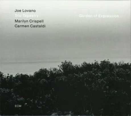 TRIO TAPESTRY / JOE LOVANO - Garden Of Expression (CD)