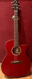 Акустическая гитара Badem A-61CTPL