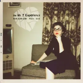 Виниловая пластинка The Mr. T Experience - Shards Vol. 3 [New Vinyl LP]