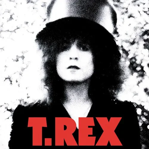 Виниловая пластинка T. Rex – The Slider (Релиз 2010)