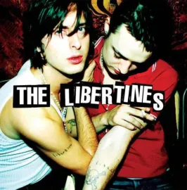 The Libertines - The Libertines NEW Vinyl