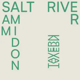 Виниловая пластинка Sam Amidon – Salt River (Релиз 2025)