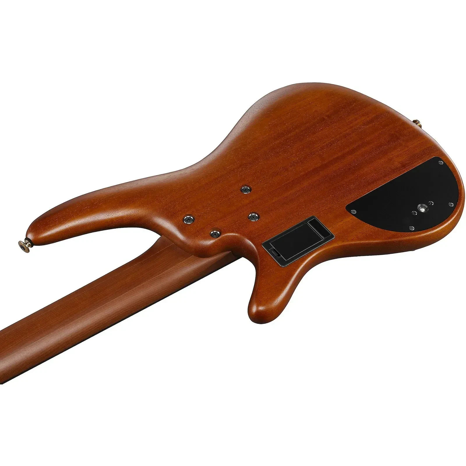 Изображение №5