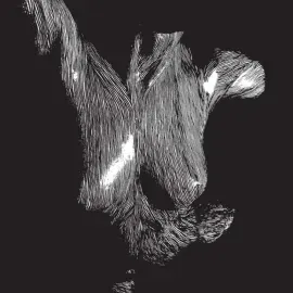 Oceansize - Self Preserved While The Bodies Float UP [15th Anniversary 3LP]