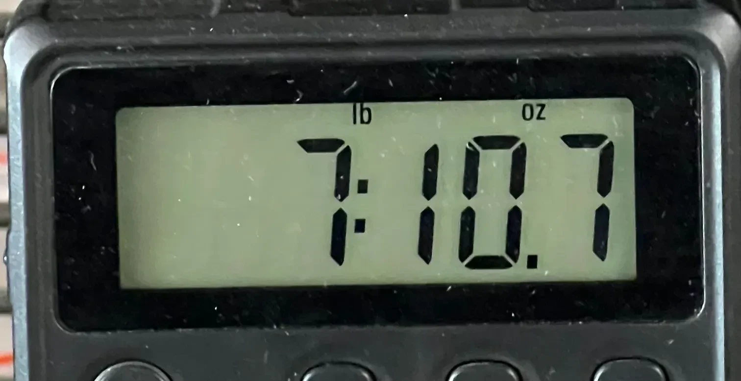 Изображение №8