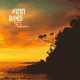 Виниловая пластинка Finn Rees - Dawn Is A Melody [New Vinyl LP]