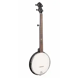 Банджо Gold Tone AC-1FL Fretless Acoustic Composite 5-String Openback Banjo w/ Gig Bag
