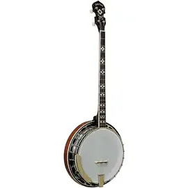 Банджо Gold Tone PS-250 Plectrum Special Banjo Vintage Brown